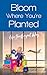Bloom Where You're Planted; Life the Expat Way by Lasairiona E. McMaster Bloom Where You're Planted; Life the Expat Way by Lasairiona E. McMaster
