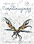 Ruby Charm Colors Insectimaginary: An Adult Coloring Art Journal