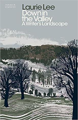 Down in the Valley: A Writer's Landscape (Hardcover)