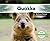 Quokka