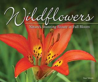 Wildflowers: Nature's Stunning Beauty on Display (Nature Appreciation)