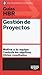 Guías HBR: Gestión de proyectos (HBR Guide to Project Management Spanish Edition)