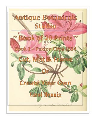 Antique Botanicals Studio ~ Book of 20 Prints ~ Book 1 - Paxton Circa 1834 Cut, Mat & Frame or Create Your Own