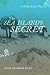 The Sea Island's Secret: A Delta & Jax Mystery (Young Palmetto Books)