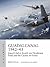 Guadalcanal 1942–43: Japan's bid to knock out Henderson Field and the Cactus Air Force (Air Campaign)