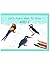 Let's Learn How To Draw Birds: Learning Book