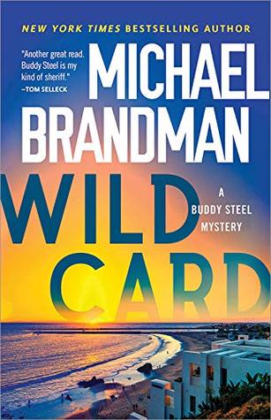 Wild Card (Buddy Steel #3)