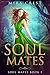 Soul Mates (Soul Mates, #1)