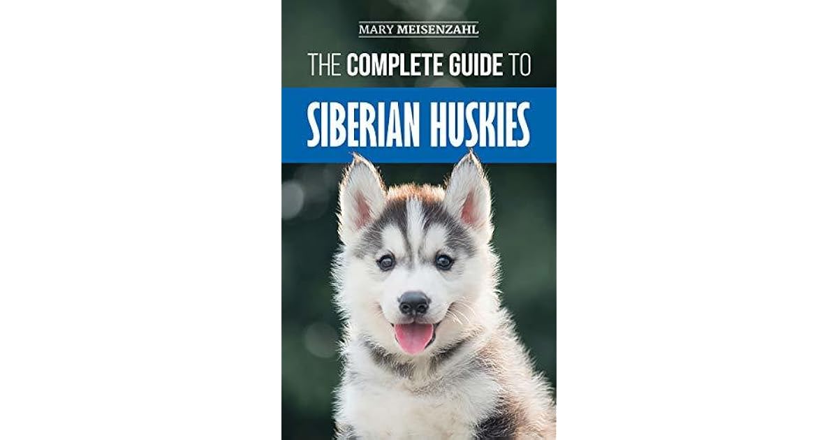 siberian husky training guide