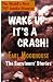 Wake Up, It's A Crash - The Survivors' Stories