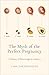 The Myth of the Perfect Pregnancy by Lara Freidenfelds