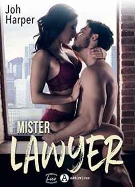 Mister lawyer (Kindle Edition)