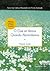 O Que só Vemos Quando Abrandamos by Haemin Sunim O Que só Vemos Quando Abrandamos by Haemin Sunim