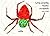 Uma aranha muito ocupada by Eric Carle Uma aranha muito ocupada by Eric Carle