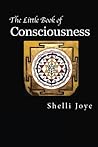 The Little Book of Consciousness: Pribram's Holonomic Brain Theory and Bohm's Implicate Order