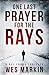 One Last Prayer for the Rays (Detective Michael Yorke #1)