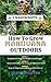 HOW TO GROW MARIJUANA OUTDOORS: Guerrilla Growing Techniques & Strategies, How to Identify & Fix Issues To Maximise Yield, Step-By-Step Guide for Successful Harvest (3 Manuscripts Book 8)