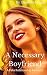 A Necessary Boyfriend: A Fa...