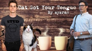 Cat Got Your Tongue (Hale At Heart, #1)