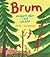 Brum - skogens djur i ord o...