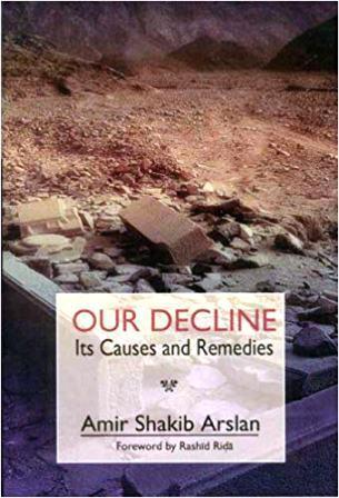 Our Decline: Its Causes and Remedies (Paperback)