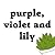 Purple, Violet and Lily