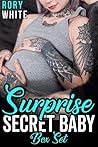 Surprise Secret Baby: The Complete Series Box Set
