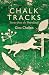 Chalk Tracks: Stories from the Downlands