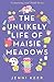 The Unlikely Life of Maisie Meadows by Jenni Keer The Unlikely Life of Maisie Meadows by Jenni Keer
