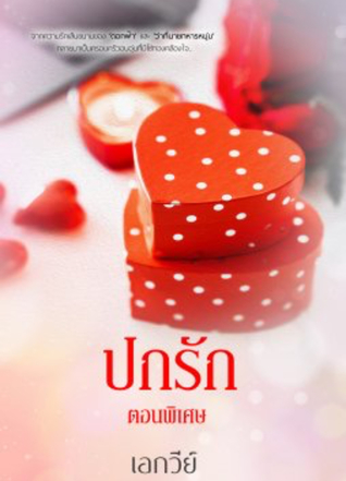 ปกรัก ตอนพิเศษ (ebook)