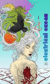 Električni okean (Paperback)