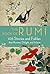 The Book of Rumi: 105 Stories and Fables that Illumine, Delight, and Inform