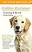 Golden Retriever Training & Breed Overview: How to Understand & Train your Golden, by using Positive Modern Techniques