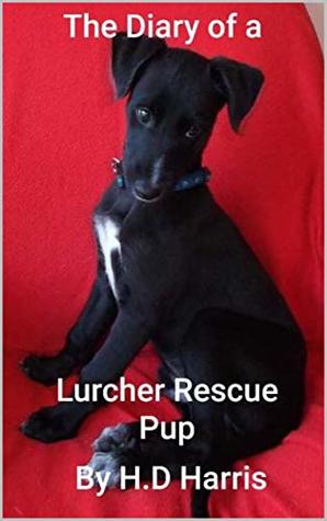 hancock lurchers rescue