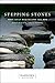 Stepping Stones: More Daily...