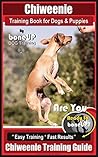 Chiweenie Trainin...