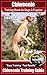 Chiweenie Training Book for Dogs & Puppies By BoneUP DOG Training: Are You Ready to Bone Up? Easy Training * Fast Results Chiweenie Training Guide