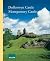Dolforwyn Castle, Montgomer...