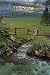 Growing in God's Garden: Po...