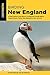 Birding New England: A Fiel...