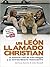Un león llamado Christian