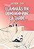 Llamarás un domingo por la ...