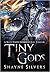 Tiny Gods (The Nate Temple Series, #6)