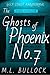 The Ghosts of Phoenix No 7