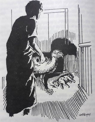 বৃহচ্চঞ্চু (Unknown Binding)