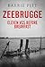 Zeebrugge: Eleven VCs Before Breakfast (Sea of Troubles Book 1)