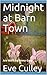 Midnight at Barn Town: Art ...