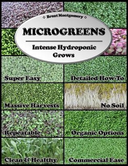 Microgreens: Intense Hydroponic Grows