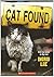 Cat Found