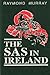 The Sas in Ireland by Raymond Murray